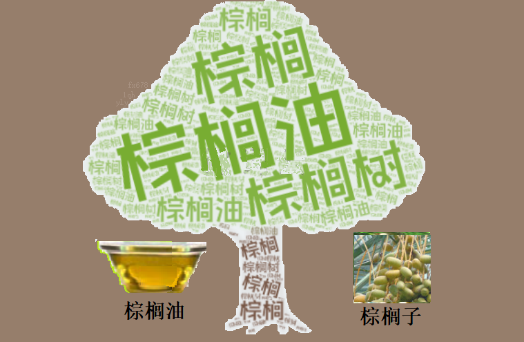 天气扰动减弱，棕榈油市场逻辑重归基本面